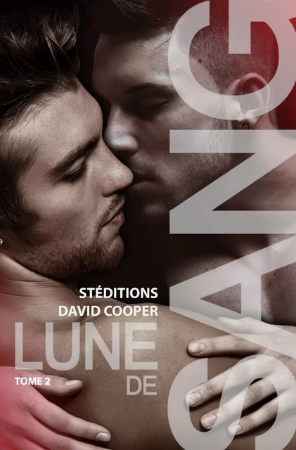 Lune de sang - Tome 2 | Roman gay, livre gay - David Cooper - STEDITIONS