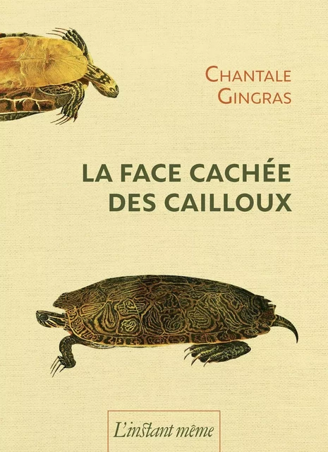 La face cachée des cailloux - Chantale Gingras - Éditions de L'instant même