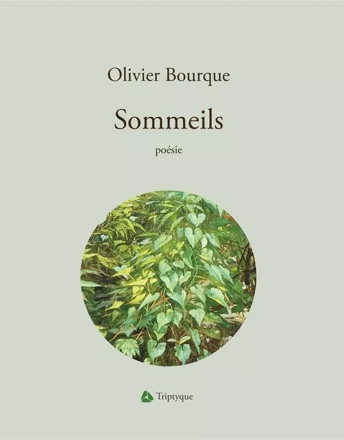 Sommeils - Olivier Bourque - Éditions Triptyque