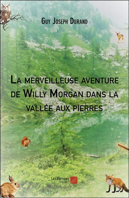 La merveilleuse aventure de Willy Morgan dans la vallée aux pierres - Guy Joseph Durand - Les Éditions du Net