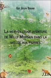 La merveilleuse aventure de Willy Morgan dans la vallée aux pierres