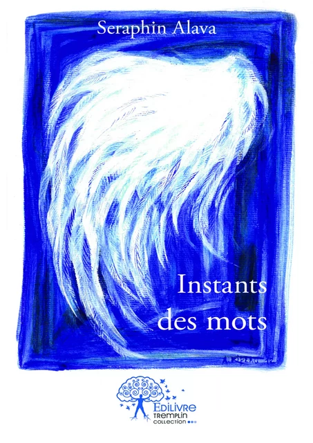 Instants des mots - Seraphin Alava - Editions Edilivre