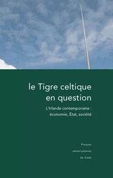 Le Tigre celtique en question