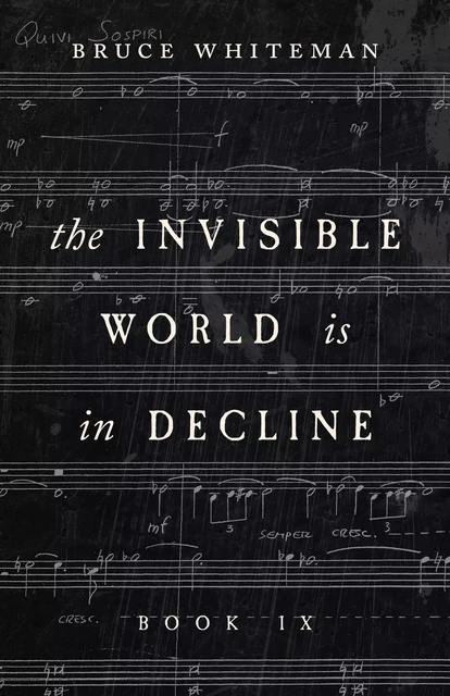 The Invisible World Is in Decline Book IX - Bruce Whiteman - ECW Press