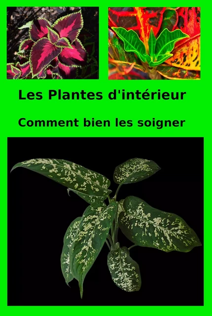 Les Plantes d'intérieur - Patrick Olivier - Bookelis