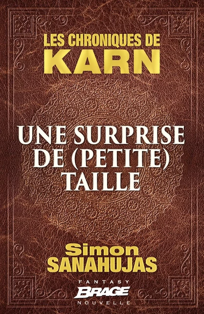 Les Chroniques de Karn : Une surprise de (petite) taille - Simon Sanahujas - Bragelonne