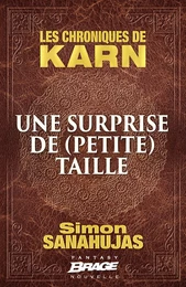 Les Chroniques de Karn : Une surprise de (petite) taille