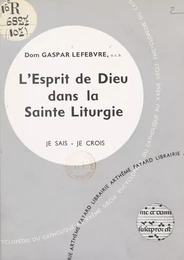 L'Église dans sa liturgie et ses rites (10) : L'esprit de Dieu dans la sainte liturgie