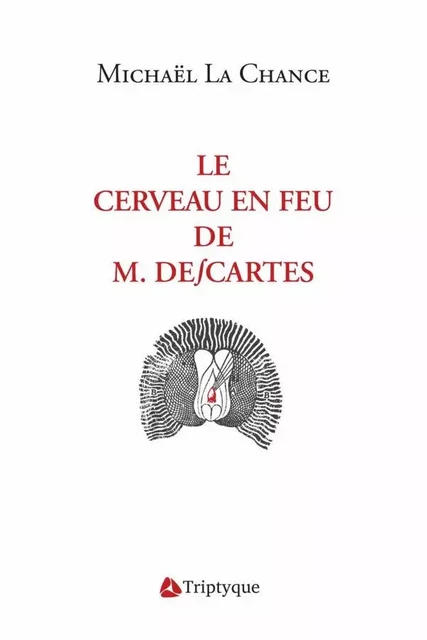 Le cerveau en feu de M. Descartes - Michaël La Chance - Éditions Triptyque