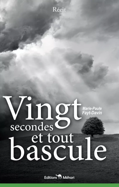 Vingt secondes et tout bascule - Marie-Paule Fayt-Davin - éditions Méhari