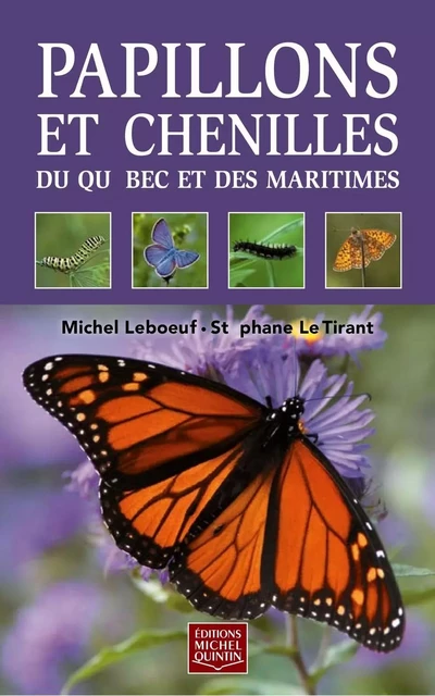 Papillons et chenilles du Québec et des Maritimes - Michel Leboeuf, Stéphane Le Tirant - Éditions Michel Quintin