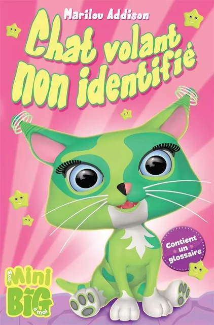 Chat volant non identifié - Marilou Addison - Andara