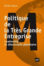 Politique de la Très Grande Entreprise