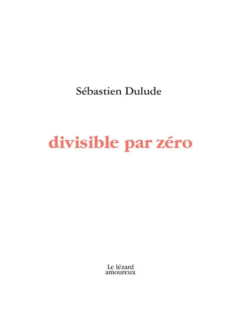 Divisible par zéro - Sébastien Dulude - Groupe Nota bene