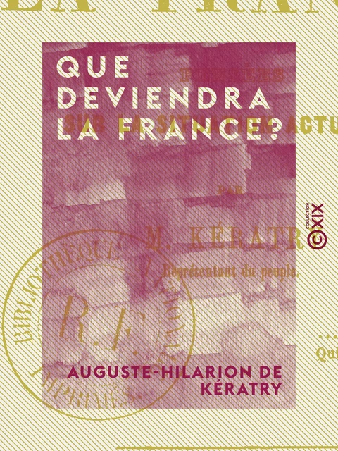 Que deviendra la France ? Pensée sur la situation actuelle - Auguste-Hilarion de Kératry - Collection XIX