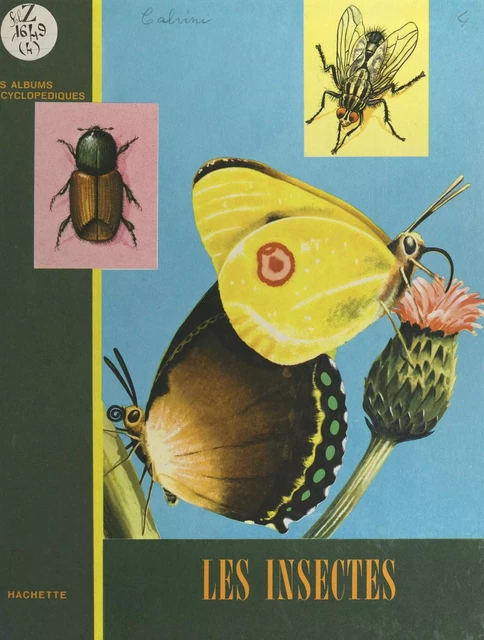 Les insectes - Victor Calvini - (Hachette) réédition numérique FeniXX