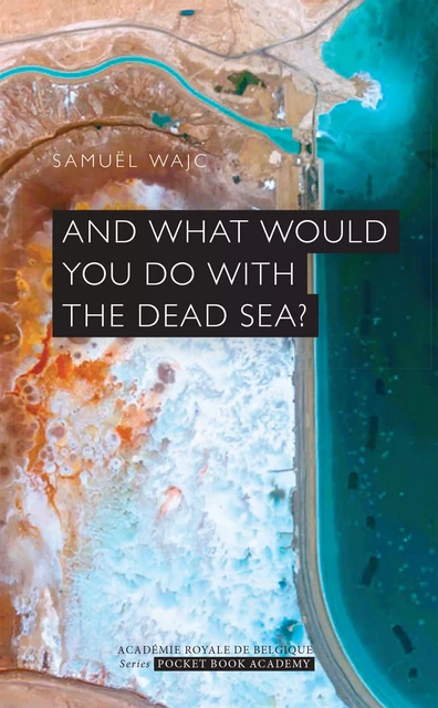 And what would you do with the dead sea? - Samuel Wajc - Académie royale de Belgique