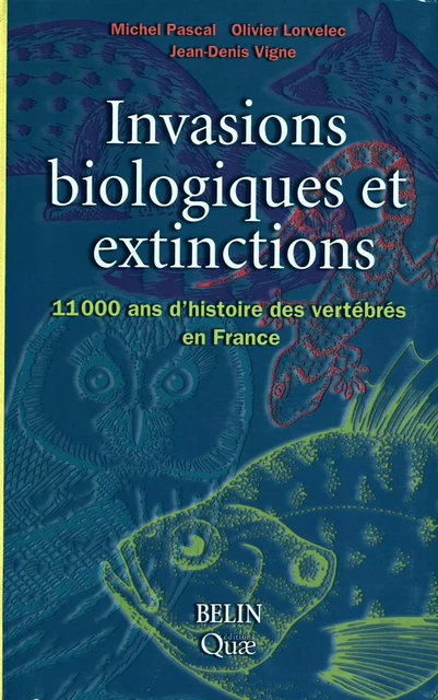 Invasions biologiques et extinctions - Michel Pascal, Olivier Lorvelec, Jean-Denis Vigne - Quae