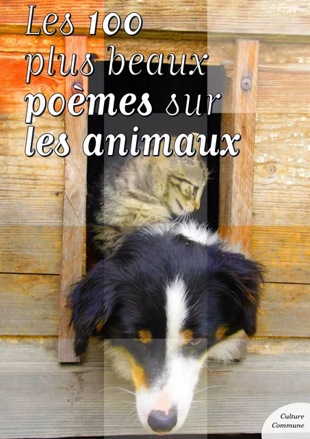 Les 100 plus beaux poèmes sur les animaux - Culture Commune - Culture commune