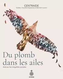 Du plomb dans les ailes