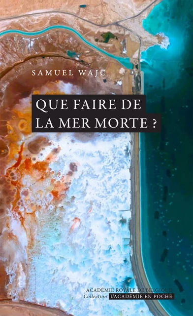 Que faire de la mer Morte ? - Samuel Wajc - Académie royale de Belgique