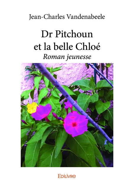 Dr Pitchoun et la belle Chloé - Jean-Charles Vandenabeele - Editions Edilivre