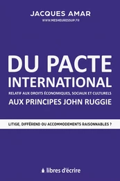 Du pacte international relatif aux droits économiques, sociaux et culturels aux principes John Ruggie