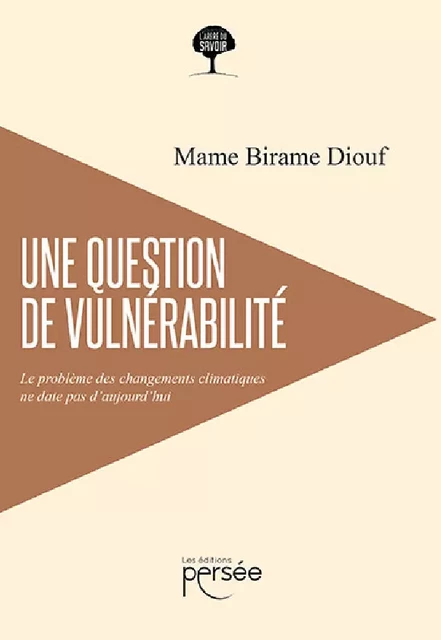 Une question de vulnérabilité - Mame Birame Diouf - Éditions Persée