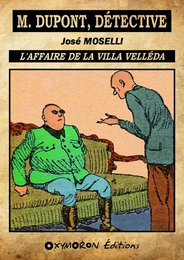 L'affaire de la villa Velléda