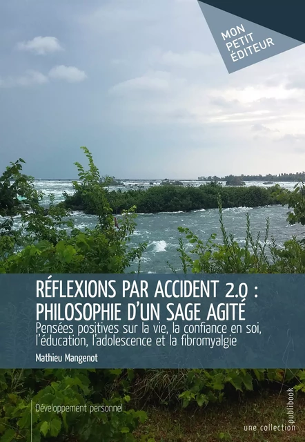 Réflexions par accident 2.0 : philosophie d'un sage agité - Mathieu Mangenot - Mon Petit Editeur