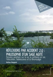 Réflexions par accident 2.0 : philosophie d'un sage agité