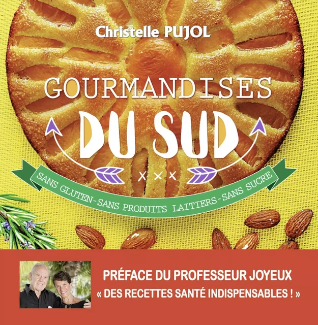 Gourmandises du Sud - Sans gluten - sans produits laitiers - sans sucre - Christelle Pujol - TDO Editions