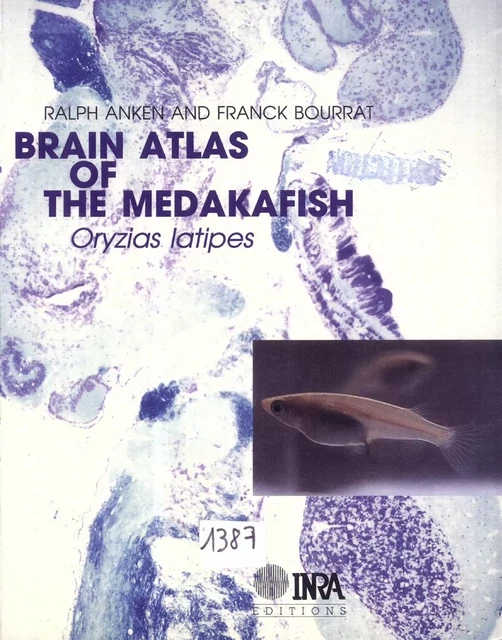 Brain atlas of the mekadafish - Ralph Anken, Franck Bourrat - Quae