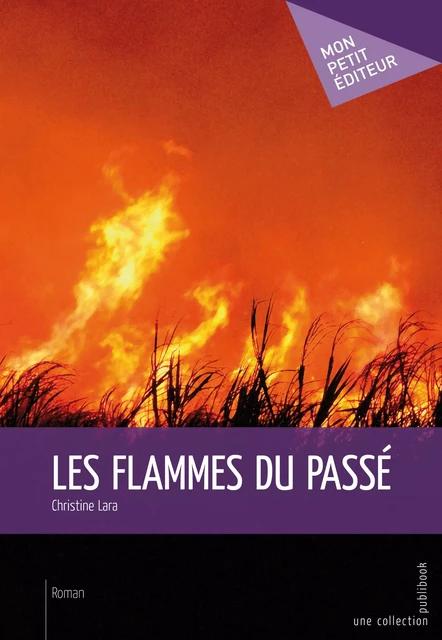 Les Flammes du passé - Christine E. Lara - Mon Petit Editeur