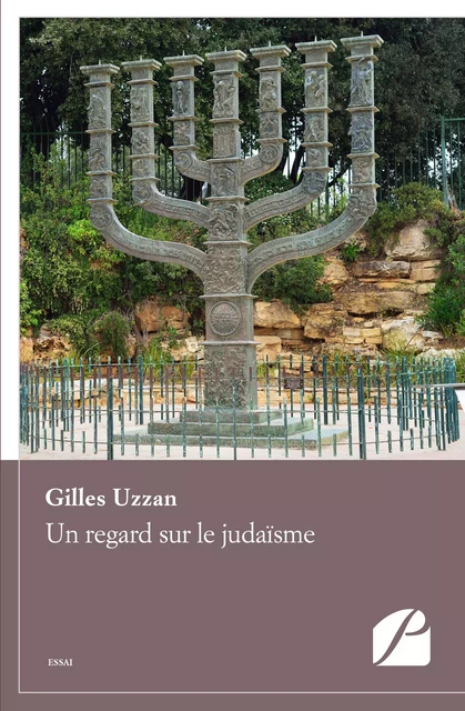 Un regard sur le judaïsme - Gilles Uzzan - Editions du Panthéon