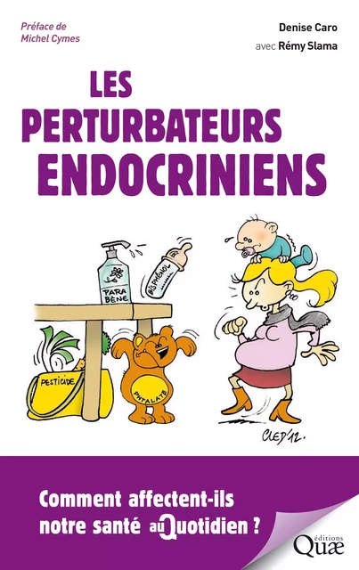 Les perturbateurs endocriniens - Denise Caro, Rémy Slama - Quae