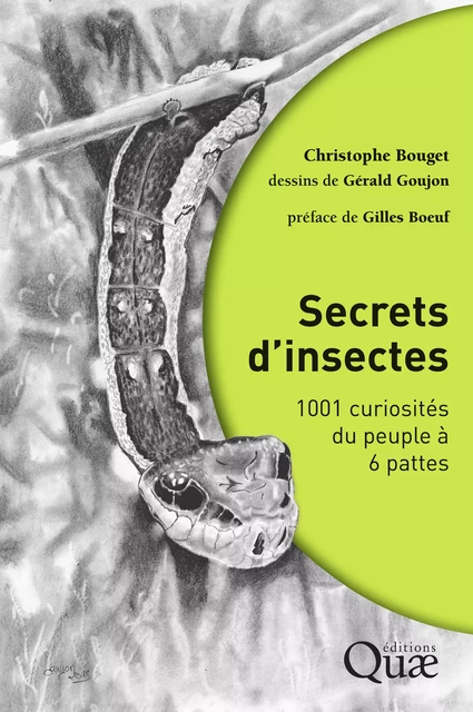 Secrets d'insectes - Christophe Bouget - Quae