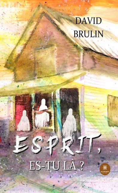 Esprit, es-tu là ? - David Brulin - Le Lys Bleu Éditions