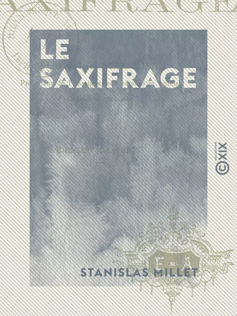 Le Saxifrage - Stanislas Millet - Collection XIX