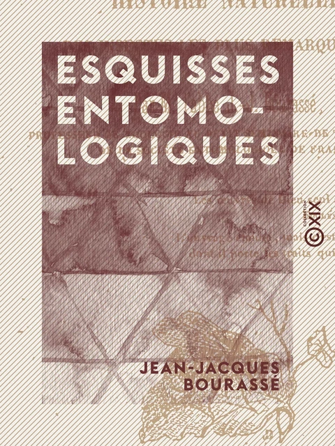 Esquisses entomologiques - Jean-Jacques Bourassé - Collection XIX