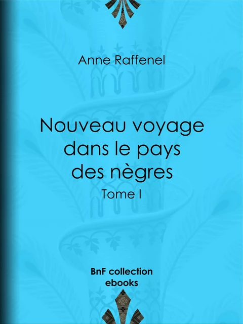 Nouveau voyage dans le pays des nègres - Anne Raffenel - BnF collection ebooks