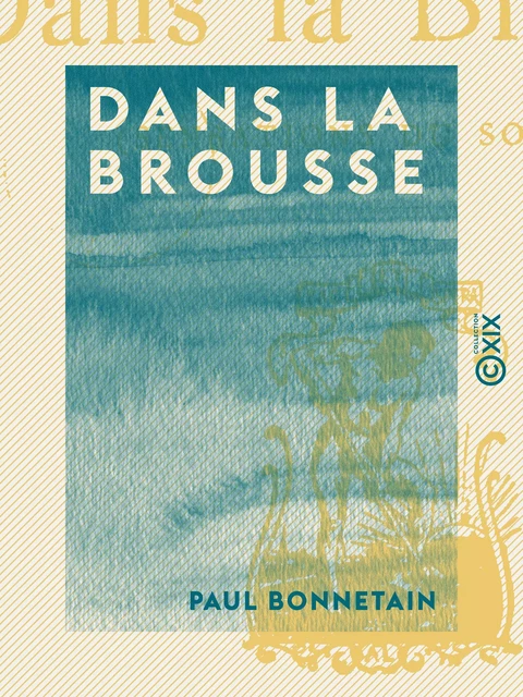 Dans la brousse - Paul Bonnetain - Collection XIX