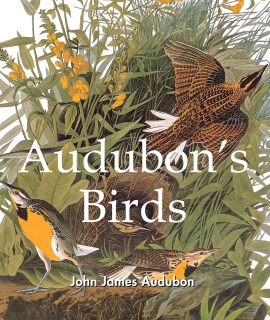 Audubon's Birds - John James Audubon - Parkstone International