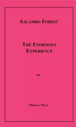 The Enormous Experience