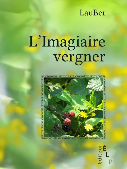 L'imagiaire vergner - Lauber Lauber - ÉLP éditeur