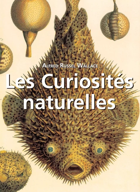 Les Curiosités naturelles - Alfred Russel Wallace - Parkstone International