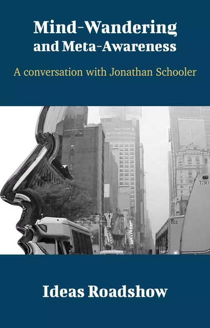 Mind-Wandering & Meta-Awareness - A Conversation with Jonathan Schooler - Howard Burton - Open Agenda Publishing Inc.