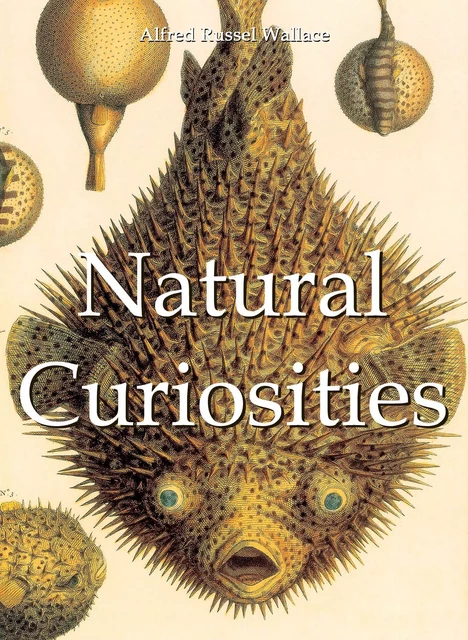 Natural Curiosities - Alfred Wallace Wallace - Parkstone International