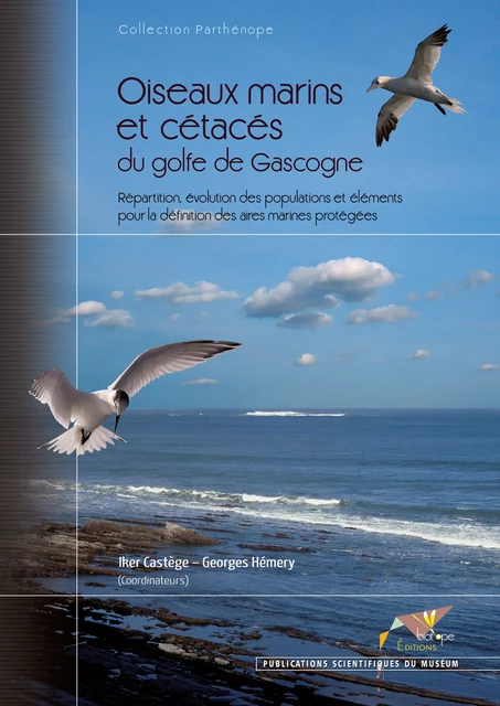 Oiseaux marins et cétacés du golfe de Gascogne - Iker Castege, Georges Hemery - BIOTOPE