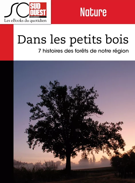 Dans les petits bois - Pierre Tillinac, Jacques Ripoche, Journal Sud Ouest - Journal Sud Ouest